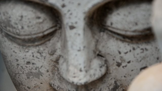 Buddha