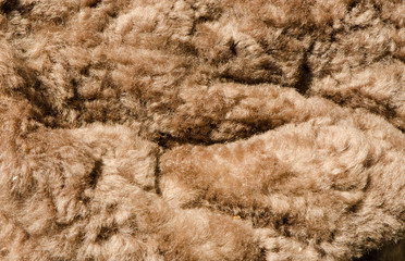 soft brown furry background