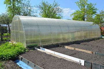 The greenhouse from cellular polycarbonate on a country section