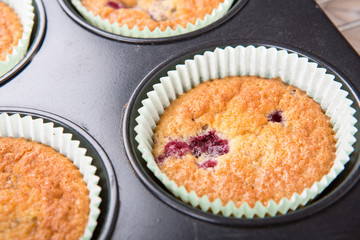 Freshly baked muffins with mixed berries