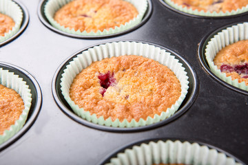 Freshly baked muffins with mixed berries