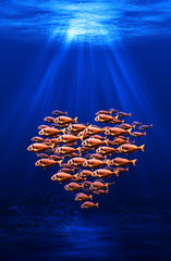Obraz premium fish swarm forming a heart underwater scene