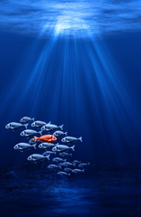 Naklejka premium fish swarm - individualism in the mass concept
