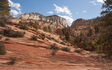 Colorful Slope at Zion National Park