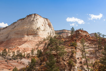 Ridge at Zion National Park