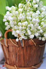 Basket with lilies of the valley (Convallaria majalis)