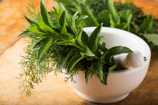 Fresh organic herbs on wooden table