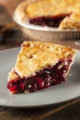 Homemade Organic Berry Pie