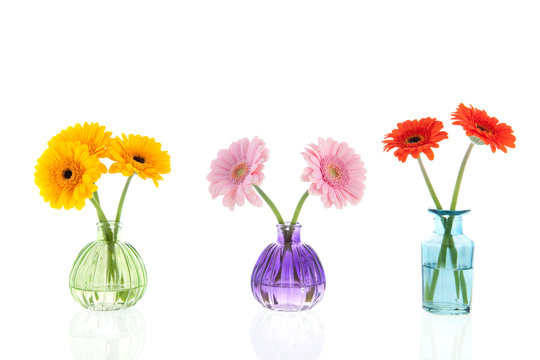 Glass vases with colorful Gerber flowers
