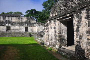 Fototapeta na wymiar Ruiny Majów w Tikal, Gwatemala