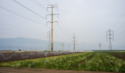 Green crops, working irrigation and electricity pylons.