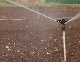 Fototapeta na wymiar Sprinkler irrigation system close-up. Selective focus.