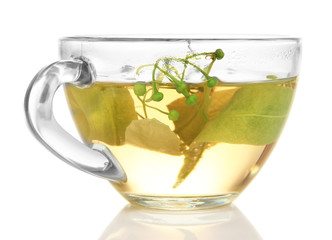 Glass cup of tea with linden isolated on white