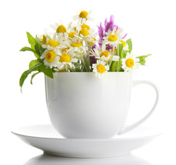 Beautiful wild flowers and mint in cup, isolated on white