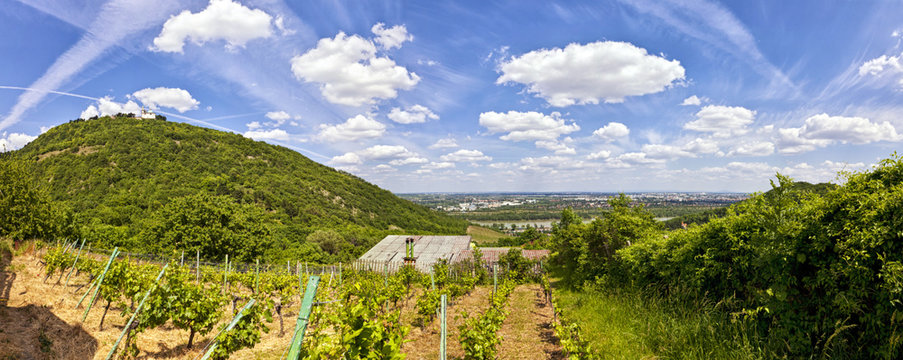 View of the Danube of Vienna from Kahlenbergerdorf