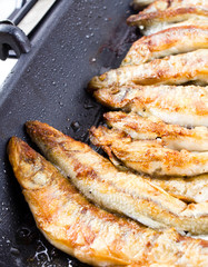 Sardines being prepared with sea salt on a barbecue grill  hotpl