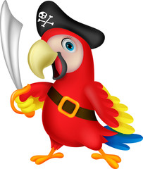 Fototapeta premium Cute parrot pirate cartoon