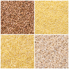 collage of different kinds of groats