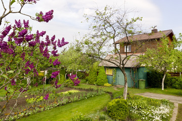 Obraz premium wakening garden