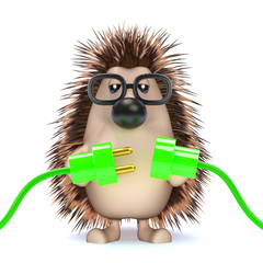 Cute hedgehog makes a green connection © Steve Young