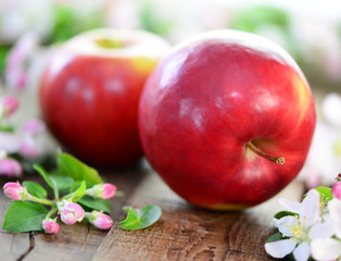 Äpfel mit Apfelblüten