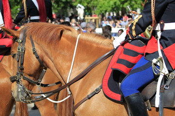 les chevaux de la garde républicaine - obrazy, fototapety, plakaty