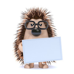Cute hedgehog has a blank sign for you © Steve Young