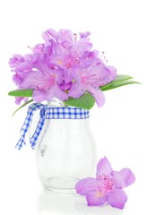 A rhododendron flower blossom in a glass jug vase