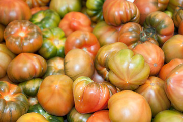 Frische Tomaten - Fresh Tomatoes