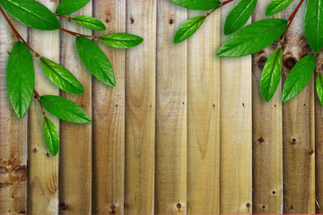 Green leaves on the wooden planks texture