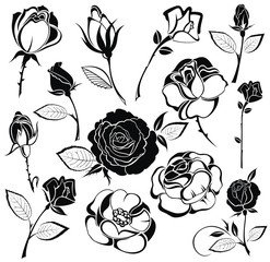 Icon set of  roses