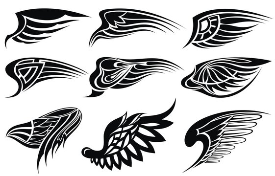 Set sketches of wings