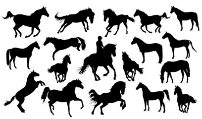 Set of vector horses silhouettes