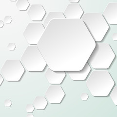 White Paper Hexagon Labels