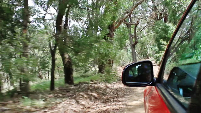 driving on the road along forest with mirror