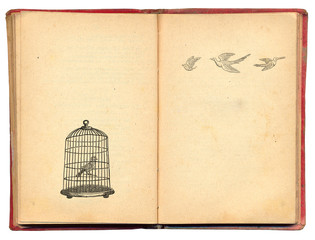 Bird cage with bird drawn in retro style