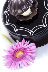 Chocolate cake and african daisy