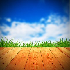 Fresh spring green grass with blue bokeh and sunlight and wood f