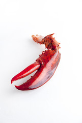 Pinza de Bogavante