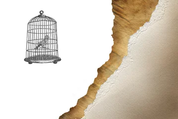 Garden poster Birds in cages Bird cage with bird drawn in retro style