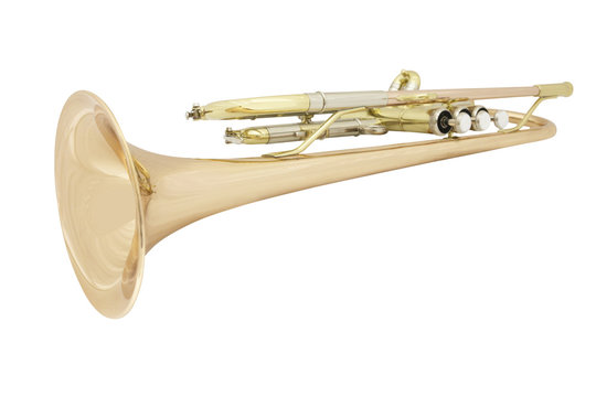 trumpet