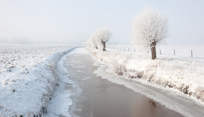 Amazing winter landscape in the Netherlands