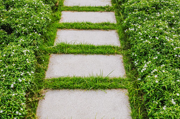 Stairway with green grass
