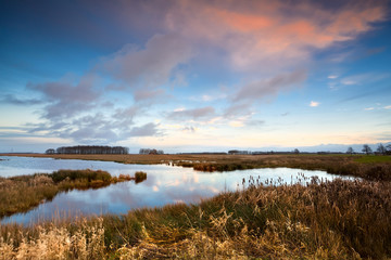 Fototapeta premium sunset over wild lake