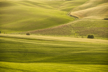 colline verdi,Toscana,Italia