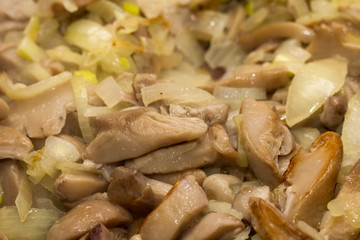 background of mushrooms fried in a pan