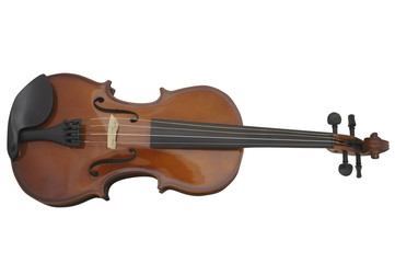 Fototapeta premium violin