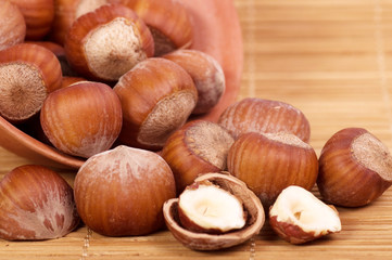 Tasty Hazelnuts