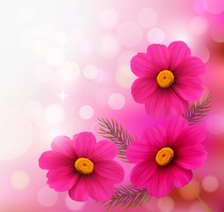 Holiday background with three pink flowers.Vector illustration
