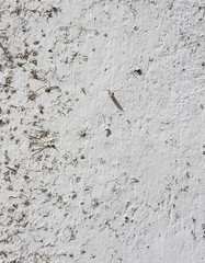 Textura muro vintage, hormigon, revoque, rugoso, pared, 3d.